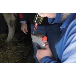 Huile spéciale pour tondeuse électrique HEINIGER 500 ml