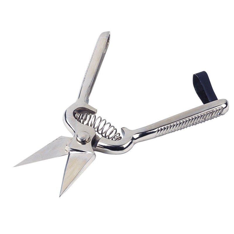 Cisaille onglons pour mouton, acier lames courtes non crantées Cisaille onglons pour mouton, acier lames courtes non crantées